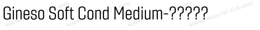 Gineso Soft Cond Medium字体转换